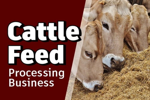 Cattle Feed Manufacturing Business