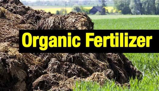 Organic Fertilizer Manufacturing Business