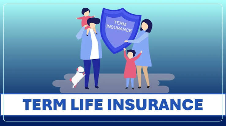 Term Life Insurance