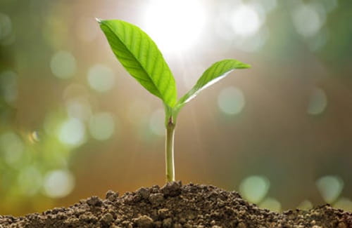 Is Bio-Fertilizer Business Profitable in India?