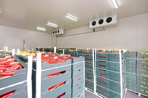 Cold Storage Business