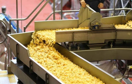 Potato Chips Manufacturing Business