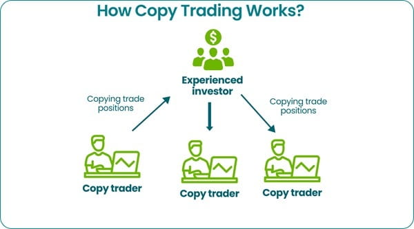 How Copy Trading Actually Works for Forex Beginners
